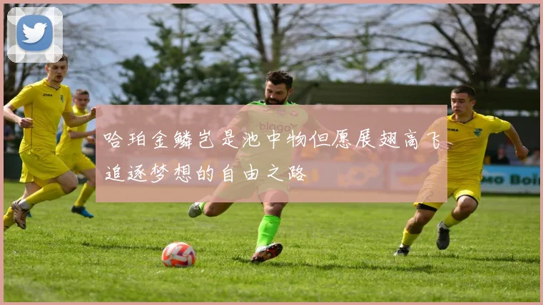 哈珀金鳞岂是池中物但愿展翅高飞追逐梦想的自由之路